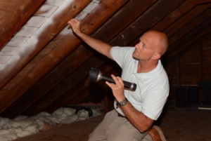 Attic Inspection